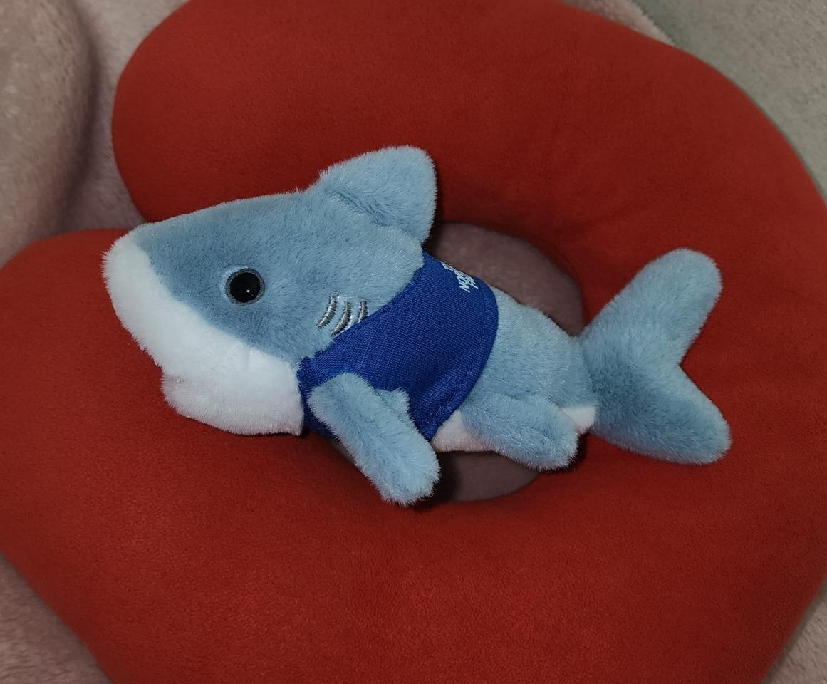 노스페이스 애기상어 뚜루 키링