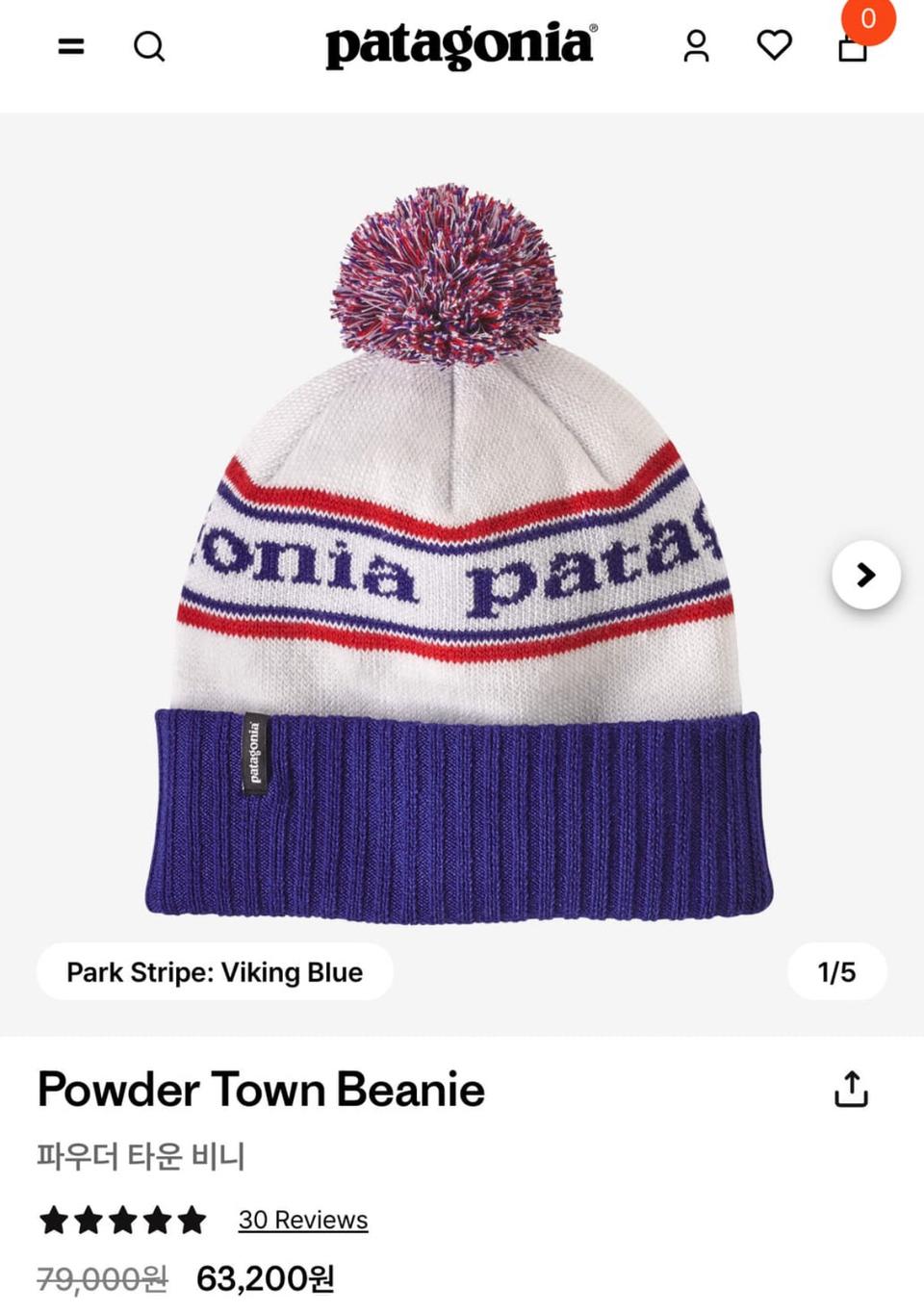 파타고니아 파우더 타운 비니