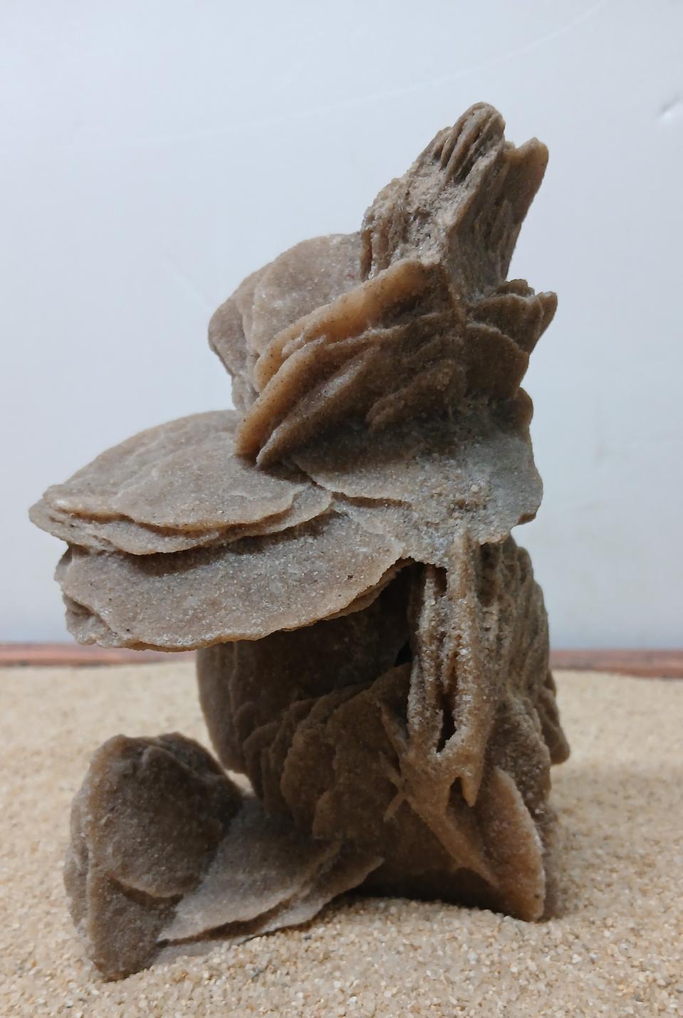 수석 자연수석 사막에장미