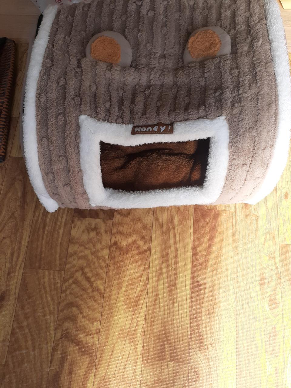 반려견집