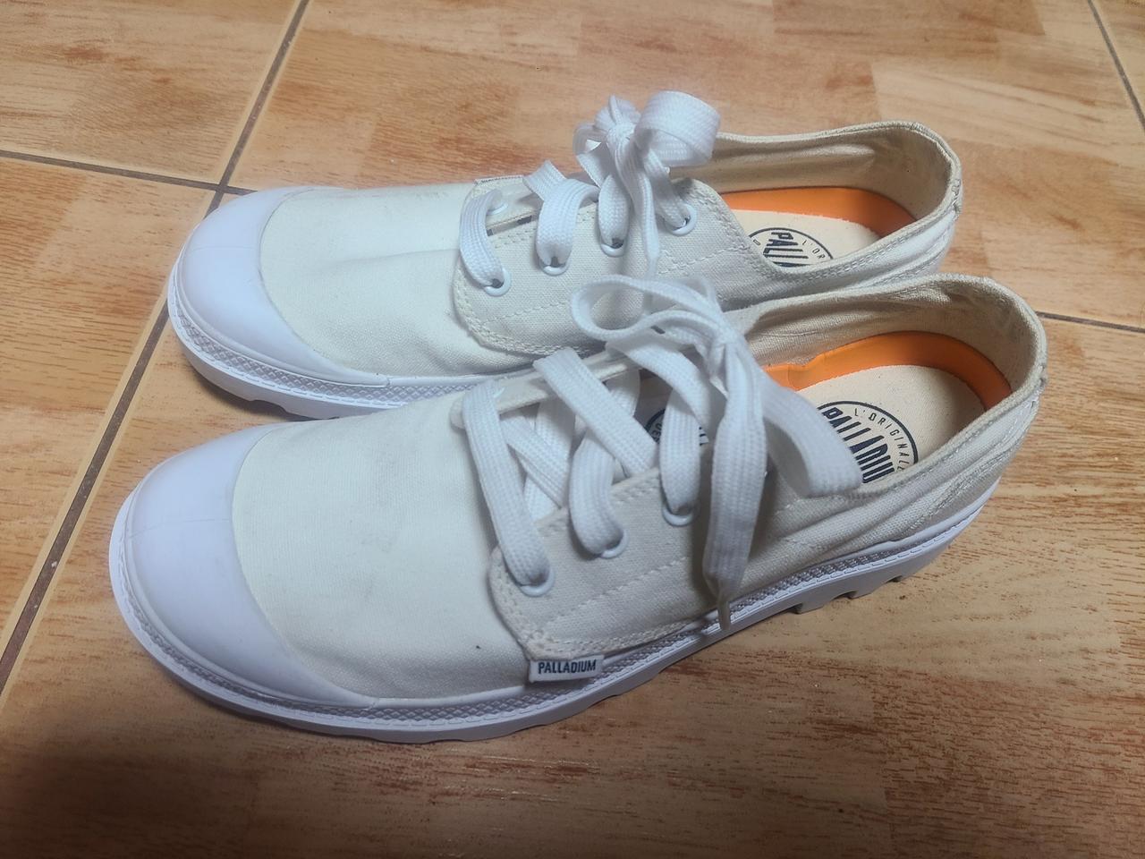 팔라디움 팜파 260(255추천)