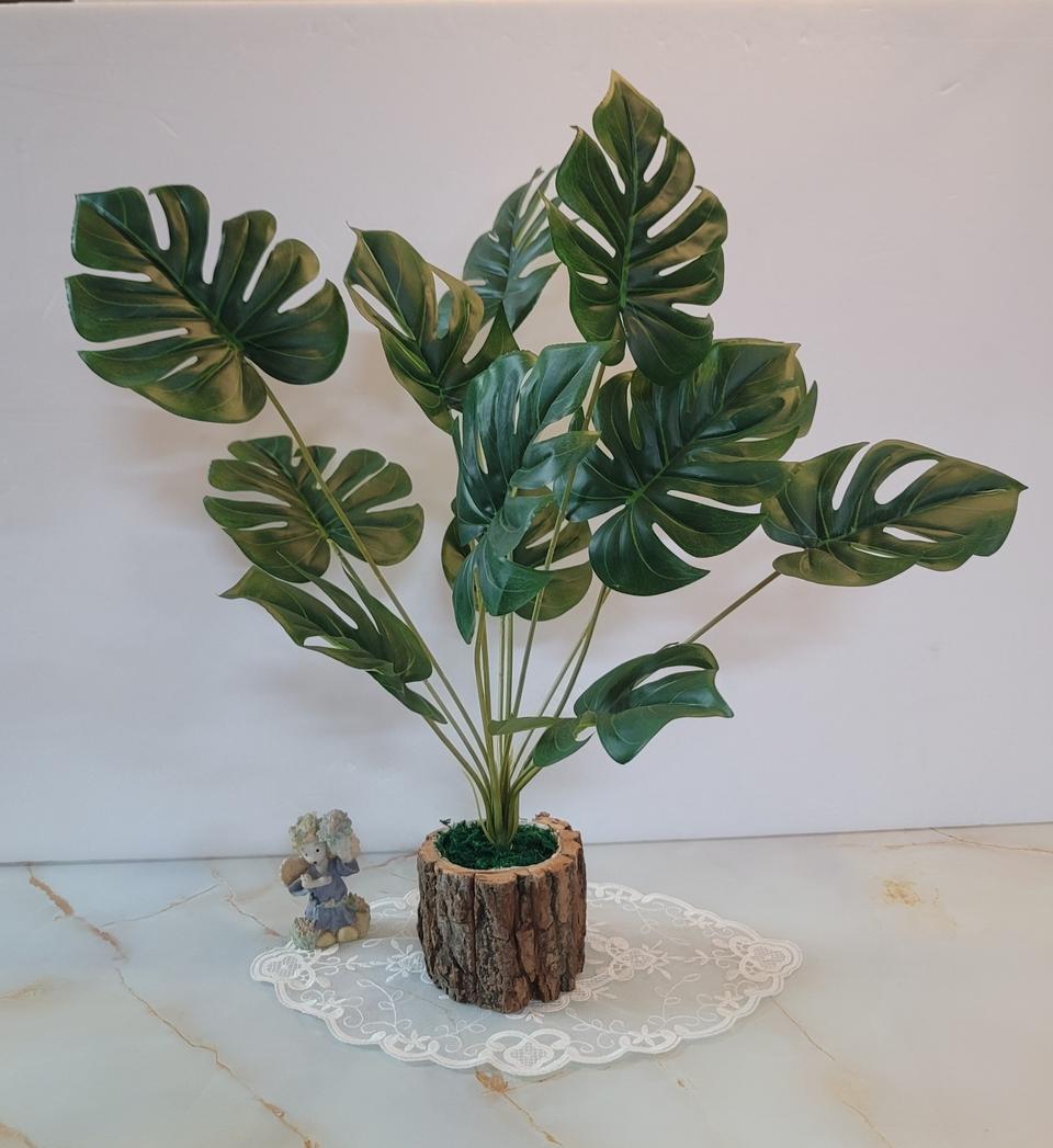 (새상품)고급 몬스테라잎과 나무화분세트