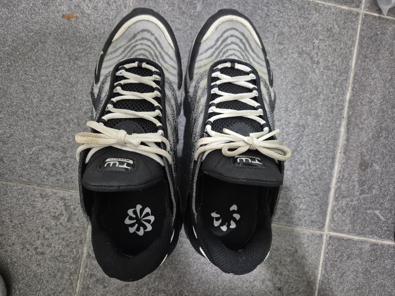 정품 나이키 지브라 에어맥스 스니커즈 255 남여공용