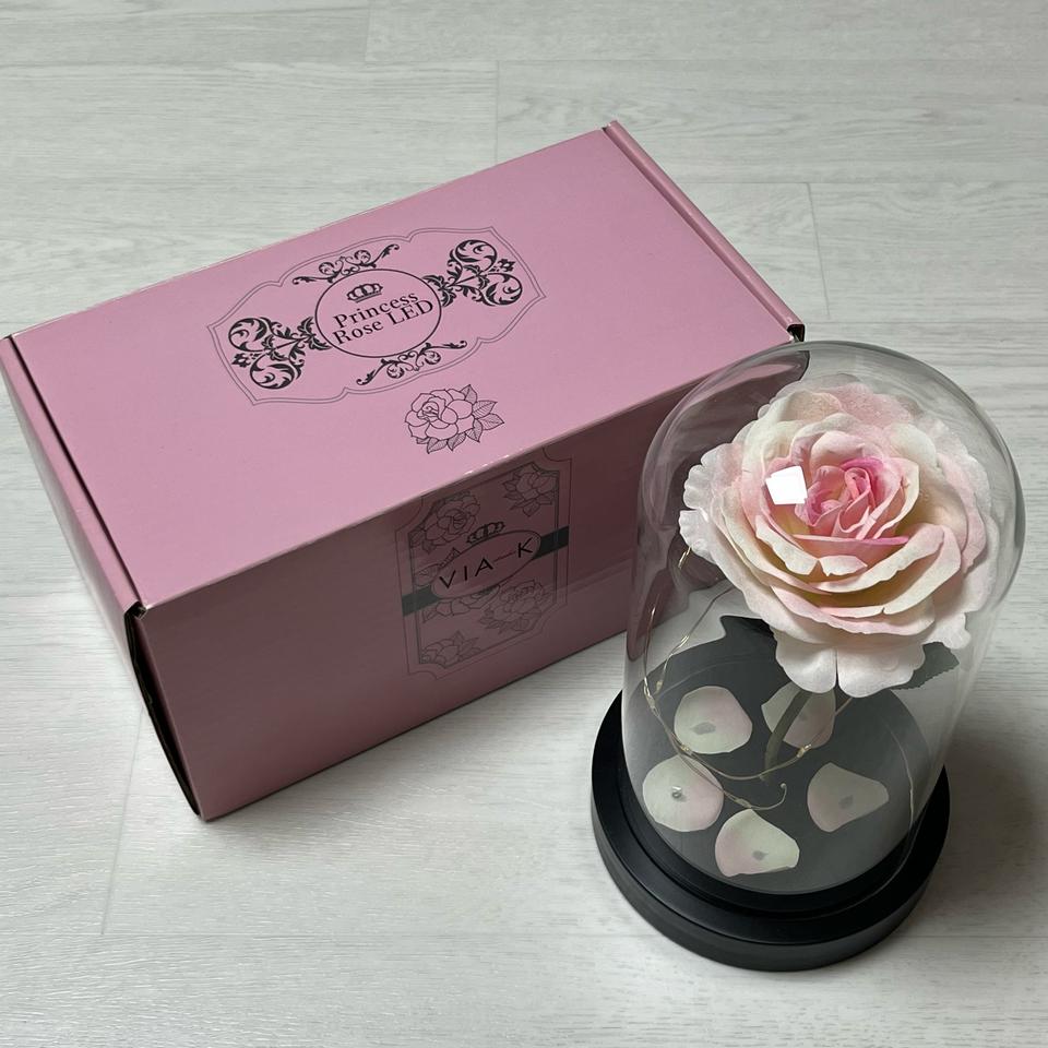 프린세스 로즈 유리돔 LED 조명