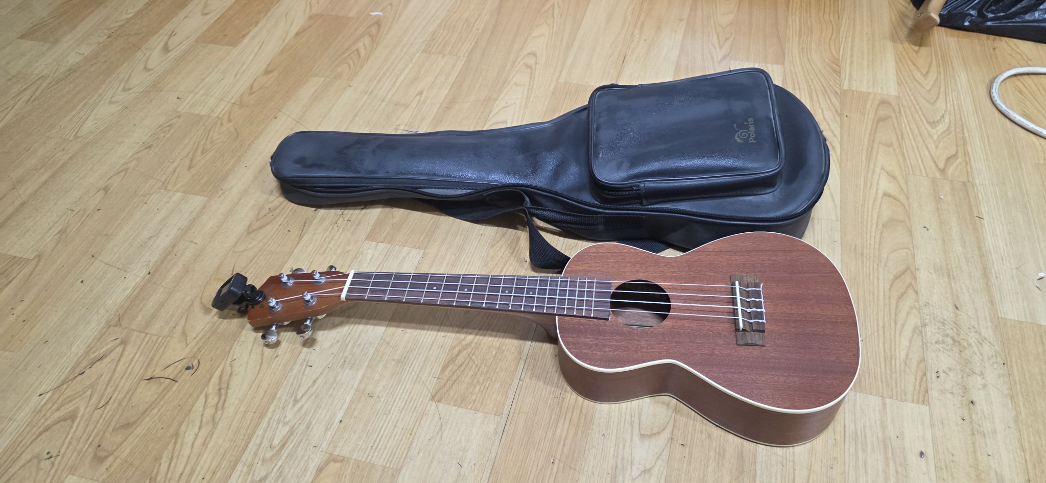 폴라리스 우쿠렐라