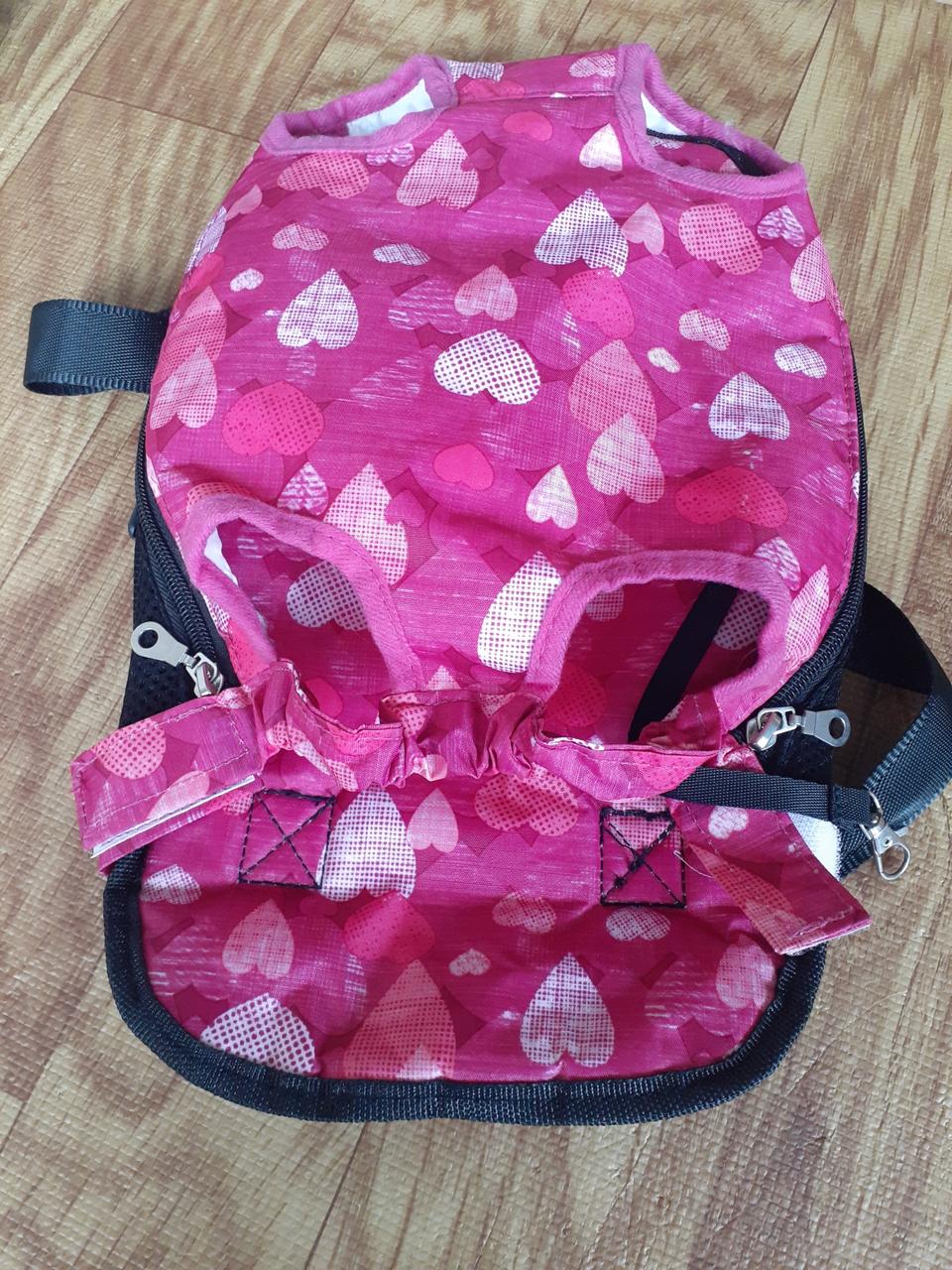 강아지포대기이동