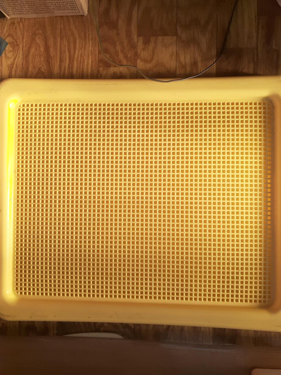 강아지대형배변판