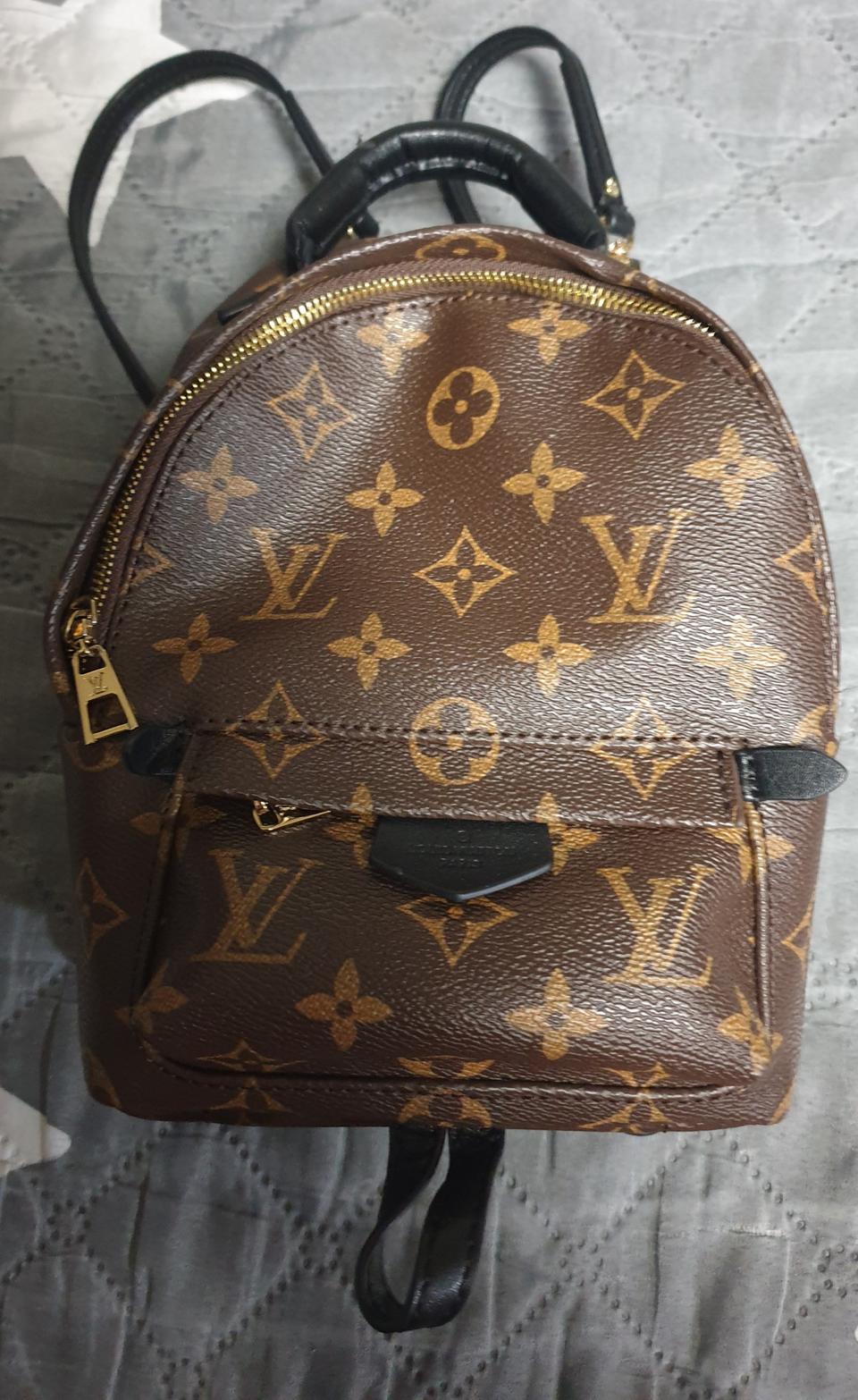 루이s비통 팜 스프링스 모노그램 미니 백팩 거울급