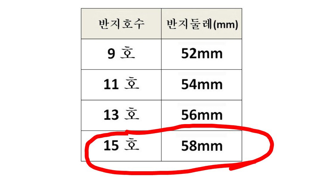 워더미 실버 캐럿반지 S02