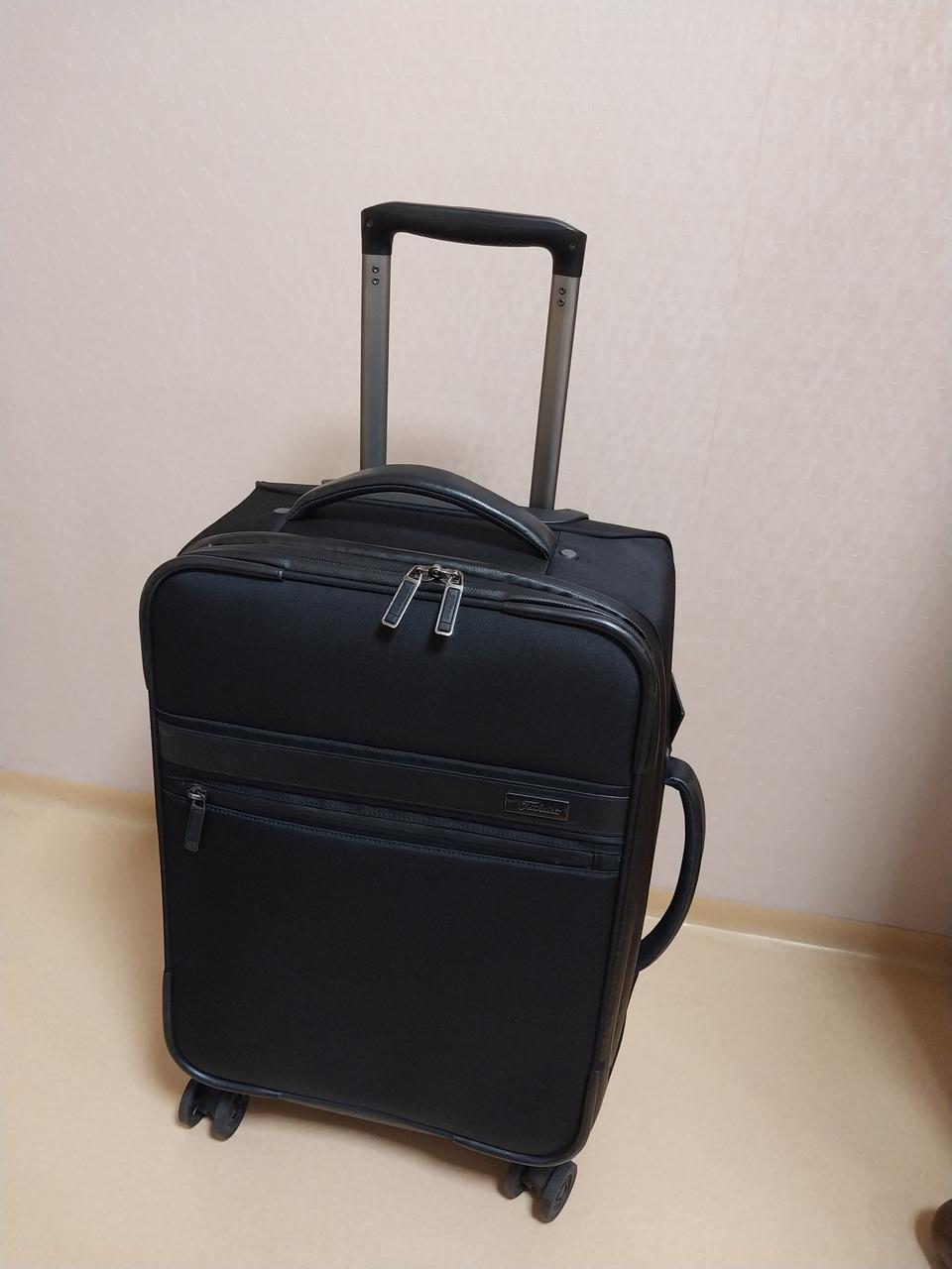 타이틀리스트 프로페셔널 트래블기어 휠캐리어 20인치 TA21PSPK-0