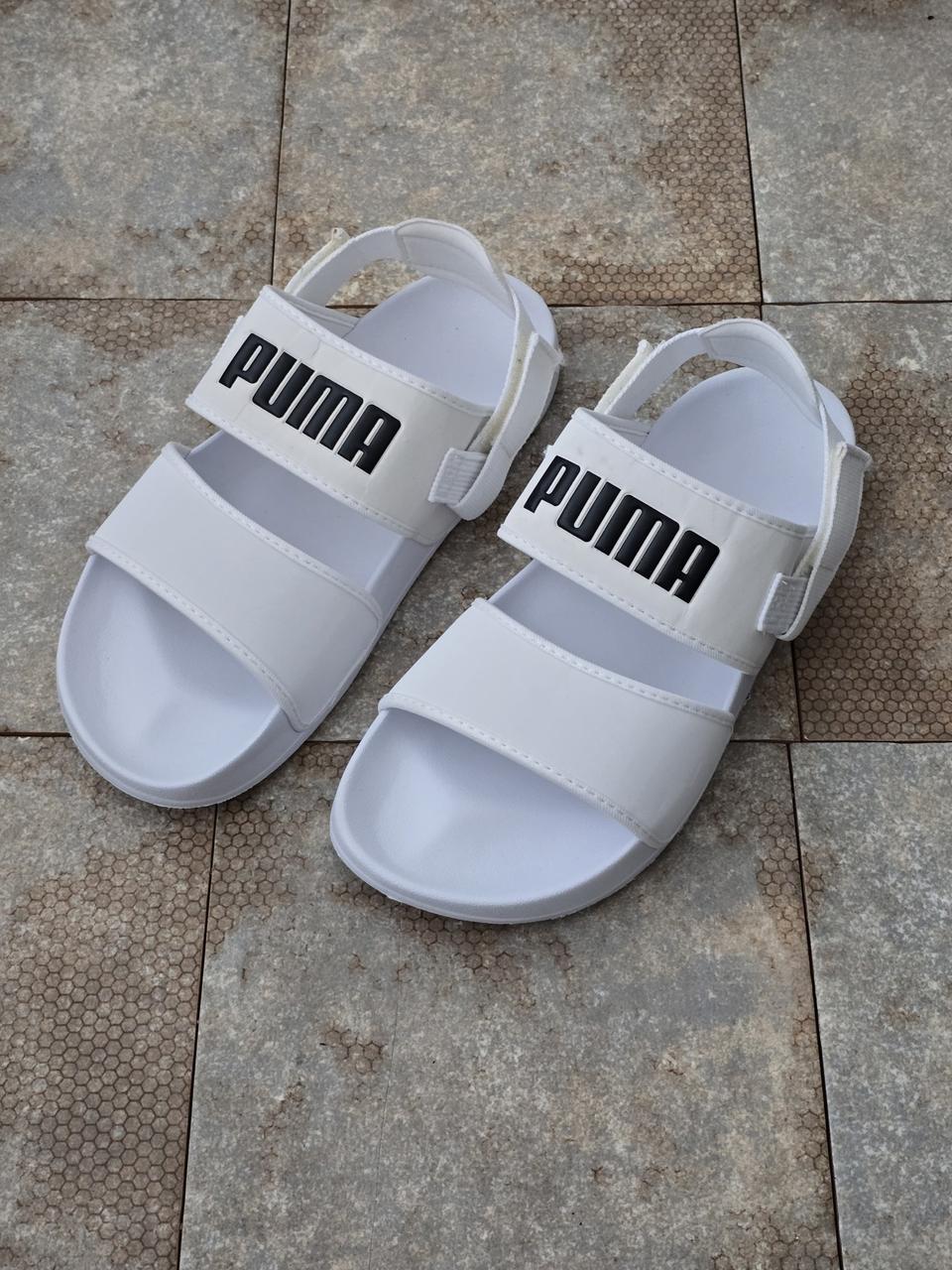 (240)푸마 리드캣 샌들 샌달