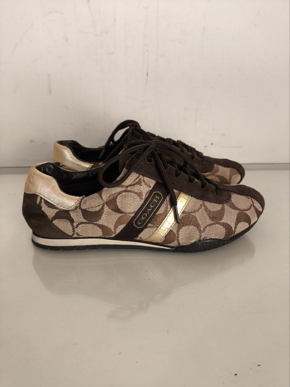 6 230mm 코치 시그니처 골든 스니커즈 r2102 