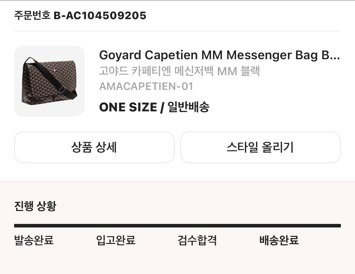 고야드 카페티엔 MM 블랙 메신저백