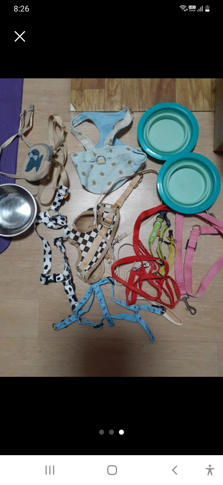 강아지용품모음