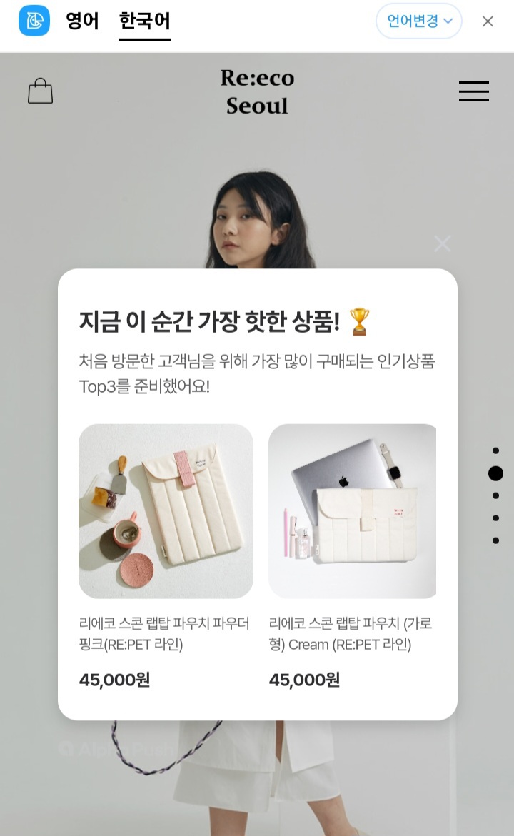 Re:eco Seoul의 스콘 15인치 파우치 무료배송