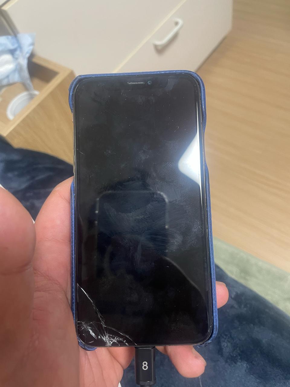 아이폰XS 256기가 부품용 판매 합니다 (루이비통 정품케이스 포함)