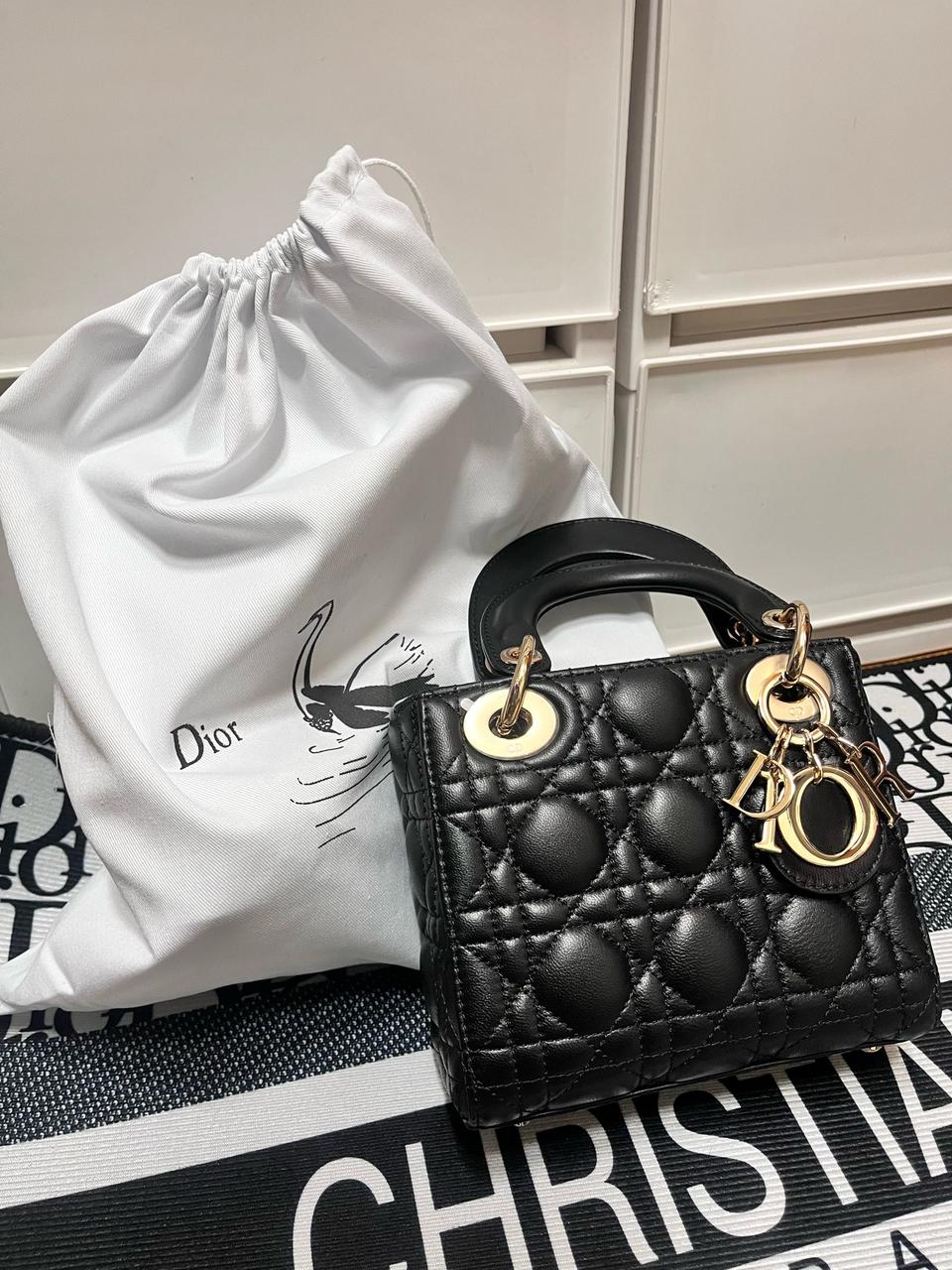 디올 레이디백 미니 금장