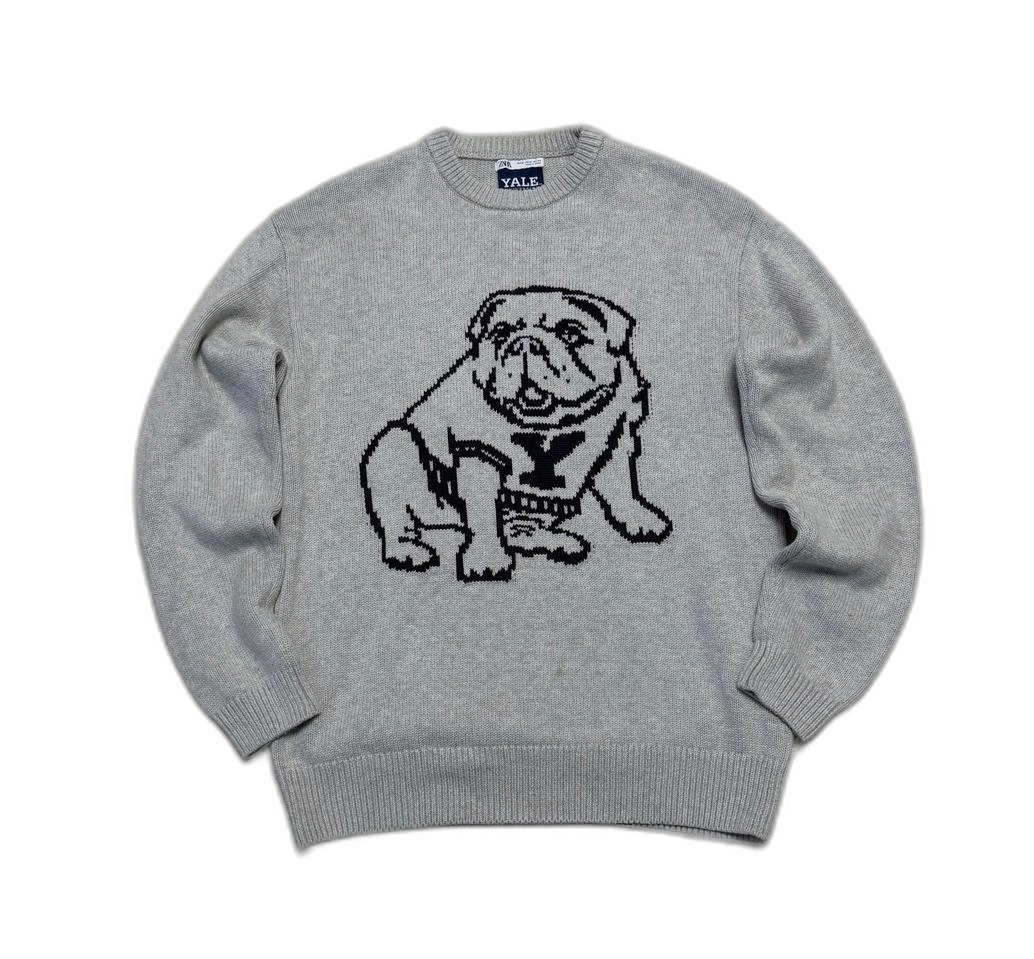 자라X예일 유니버시티 불독 코튼 니트