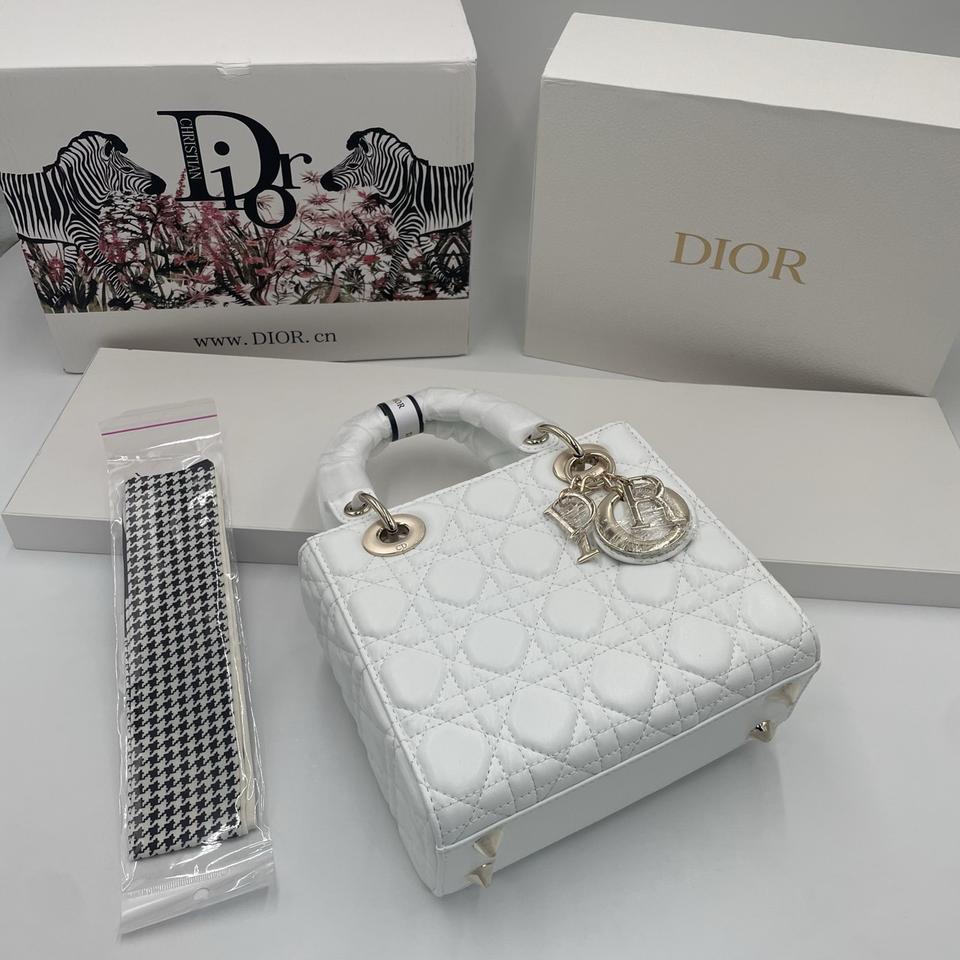 디올 레이디백 스몰 금장