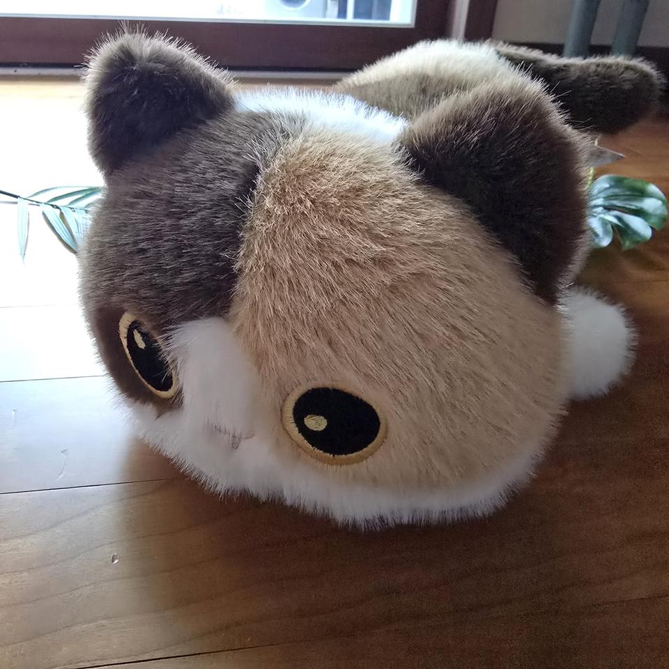 라이언 캣츠 삼색 중형 인형 - New