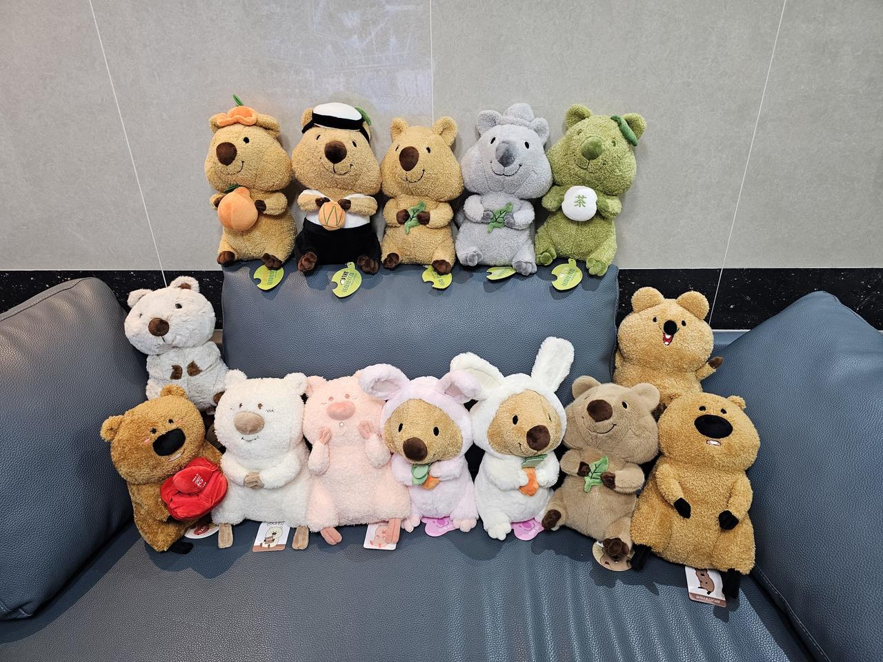 잎사귀쿼카 3종이랑 쿼카 뚱카 쿼카라떼 중형인형이랑  키링 새거 팔아요