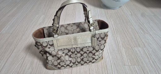 코치 토드백팝니다