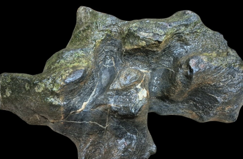 동양엔틱~자연의 위대함 예술작품 대형 기암괴석 험준한 산맥 두상형 수석