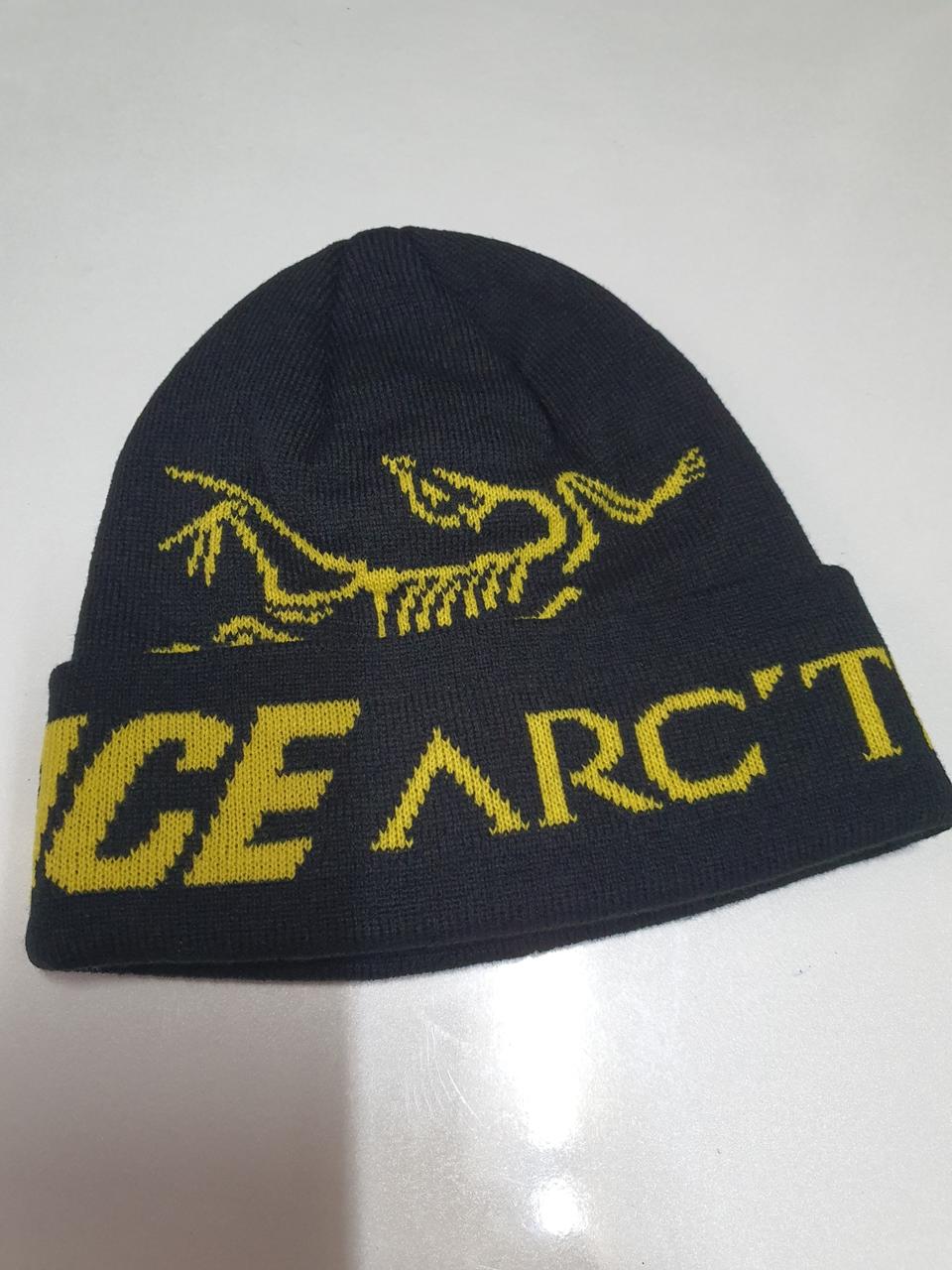 아크테릭스 팔라스 비니