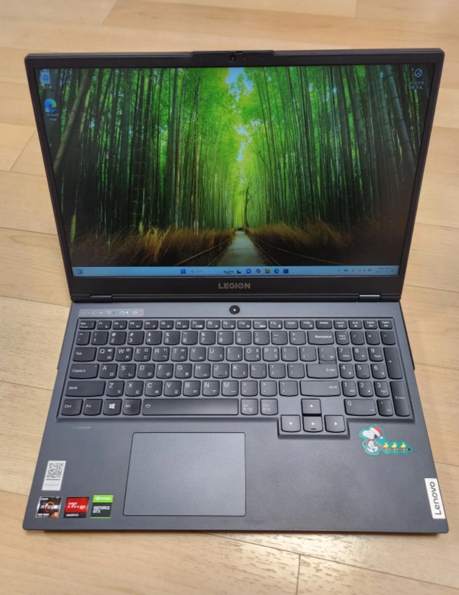 Lenovo Legion 5 15ARH05