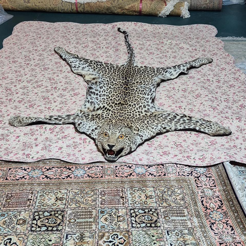 남아공 리얼 표범 러그 - RSA103 - 1300mm/2230mm
