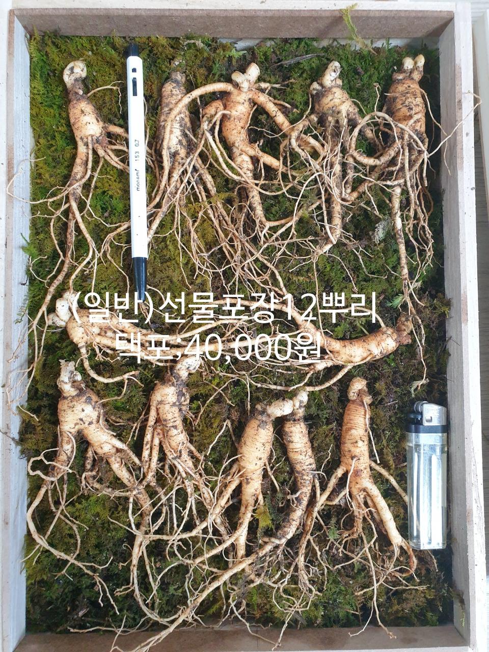 12뿌리선물세트