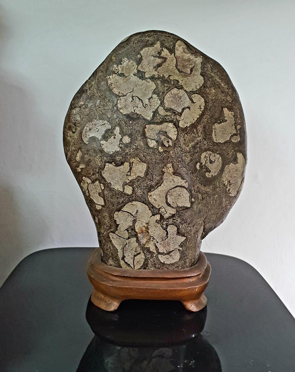 청송꽃돌 수석 꽃돌 청송