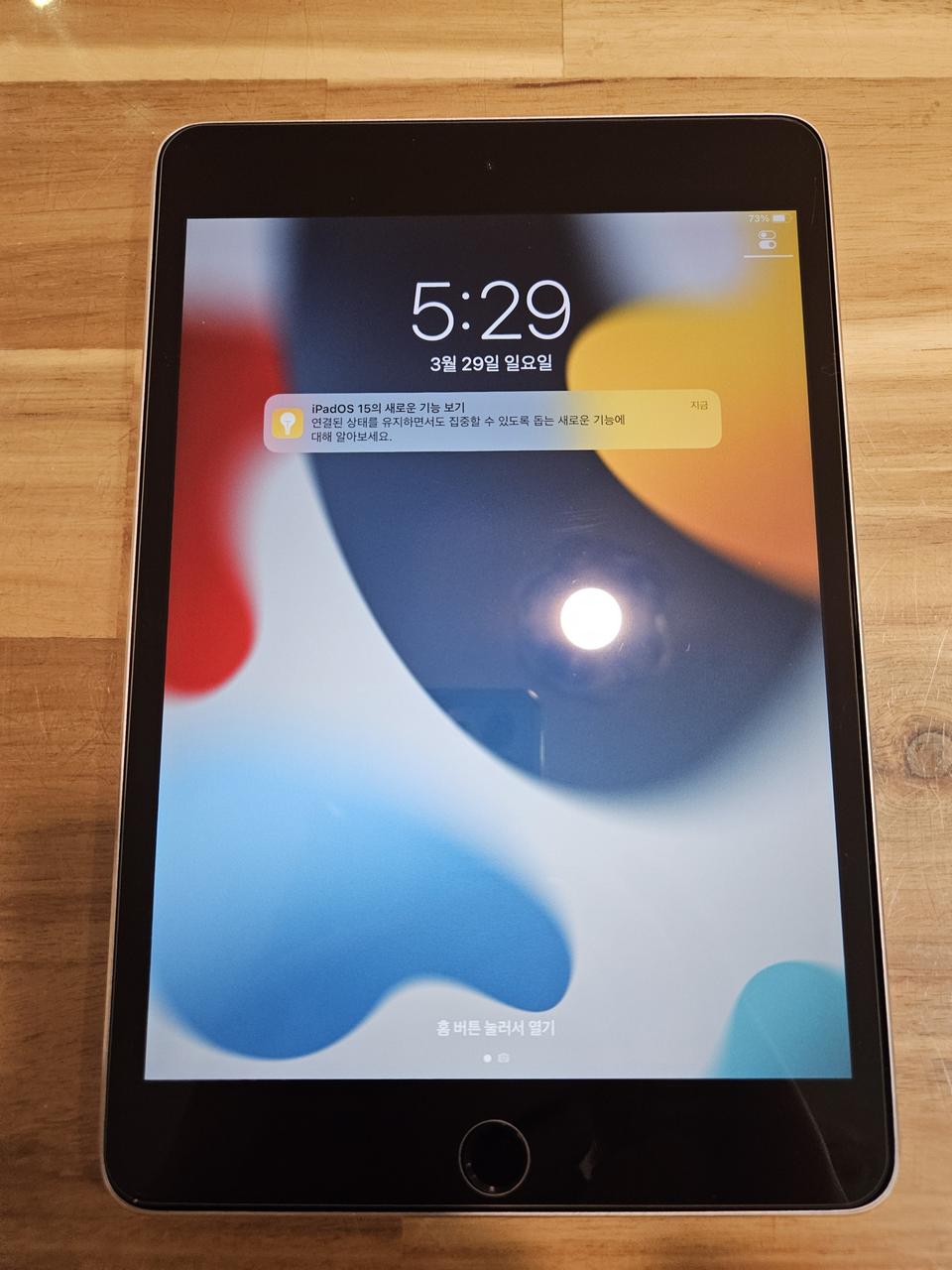 아이패드 미니4 wfi 128g