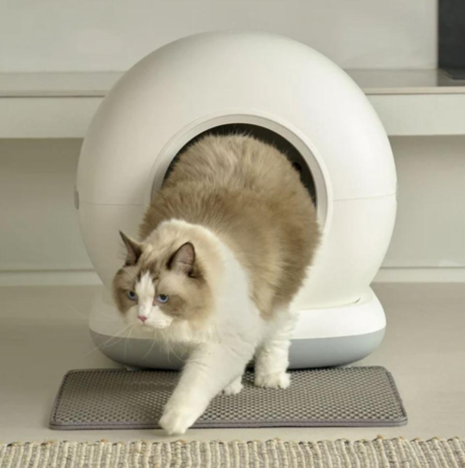 렌탈 페페 고양이 자동 화장실 IoT CT-100ca 48개월약정