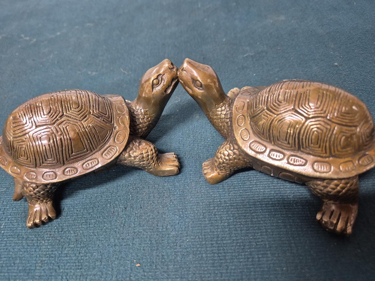 거북이1쌍2점일괄