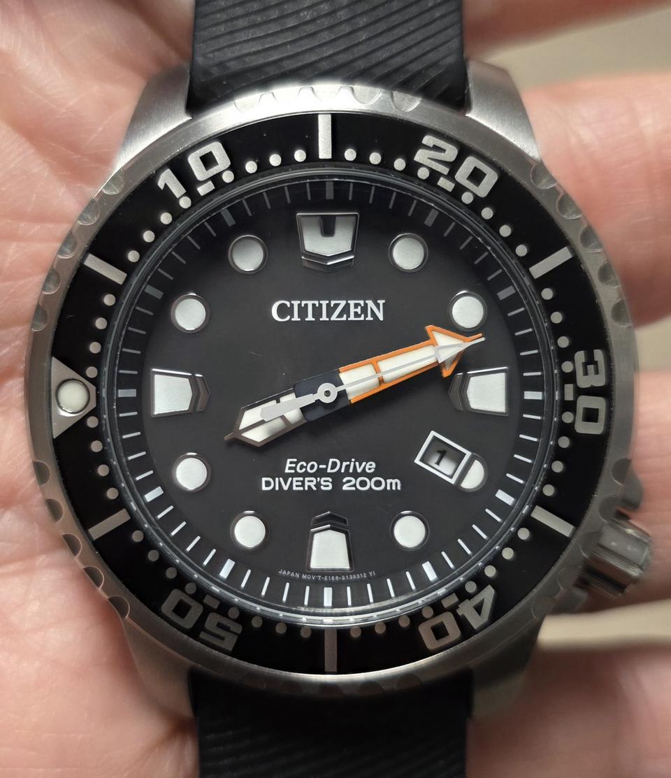 시티즌(CITIZEN) 프로마스터 다이버 태양광 에코 드라이브 시계 (풀