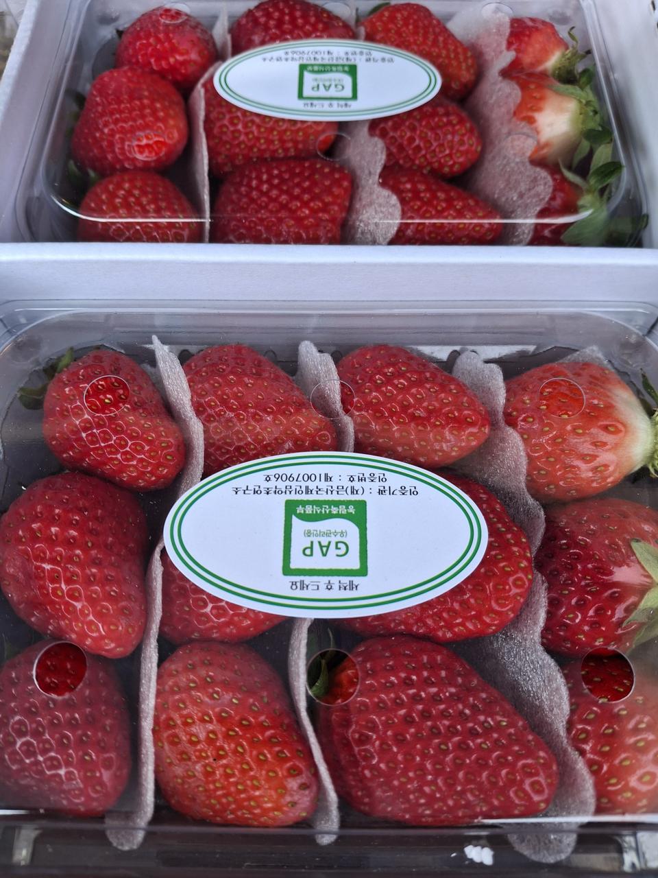 딸기2kg(4팩) 무료배송입니다