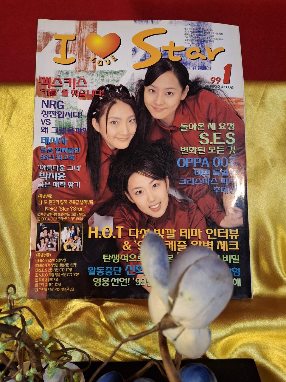 1991년 스타 화보집