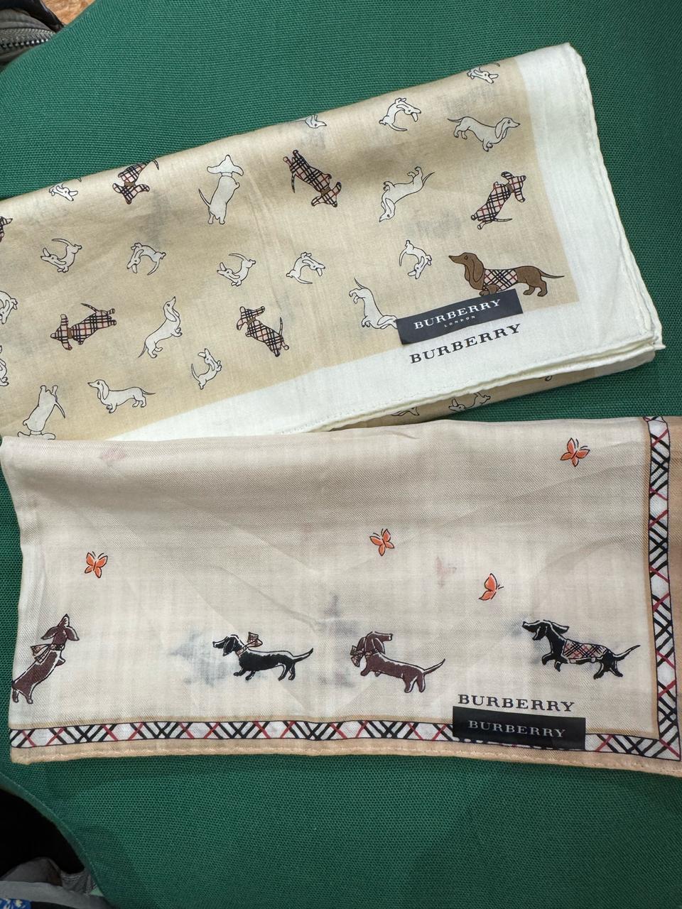 버버리 강아지패턴쁘띠스카프