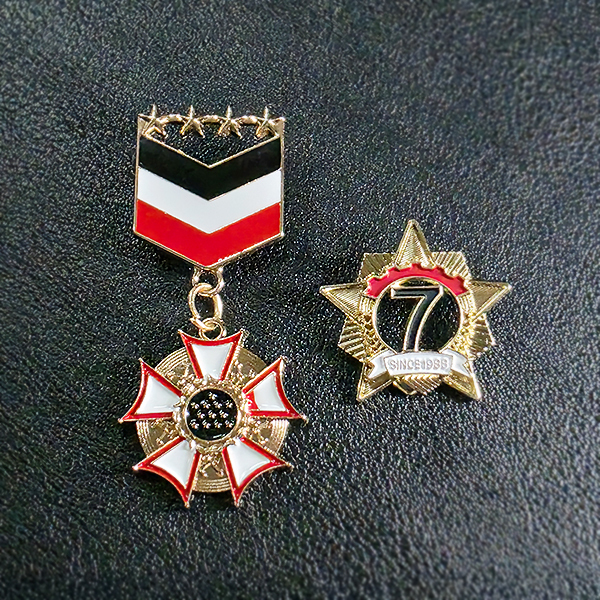 Aegis 브로치 남자 여자 엔틱 빈티지 훈장 기사 엠블럼 7 방패