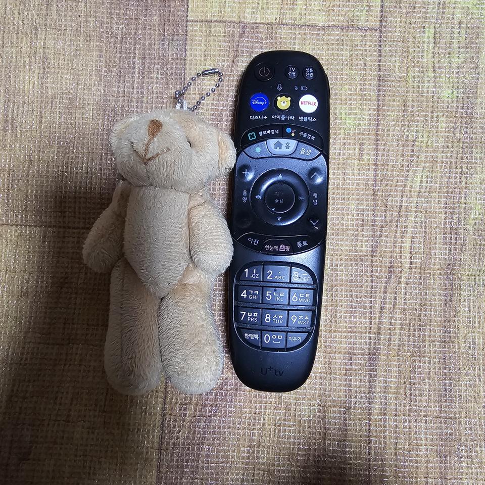 구매시덤)관절 곰인형