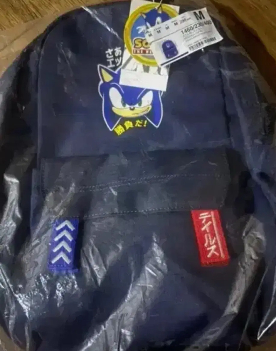 자라 소닉 백팩