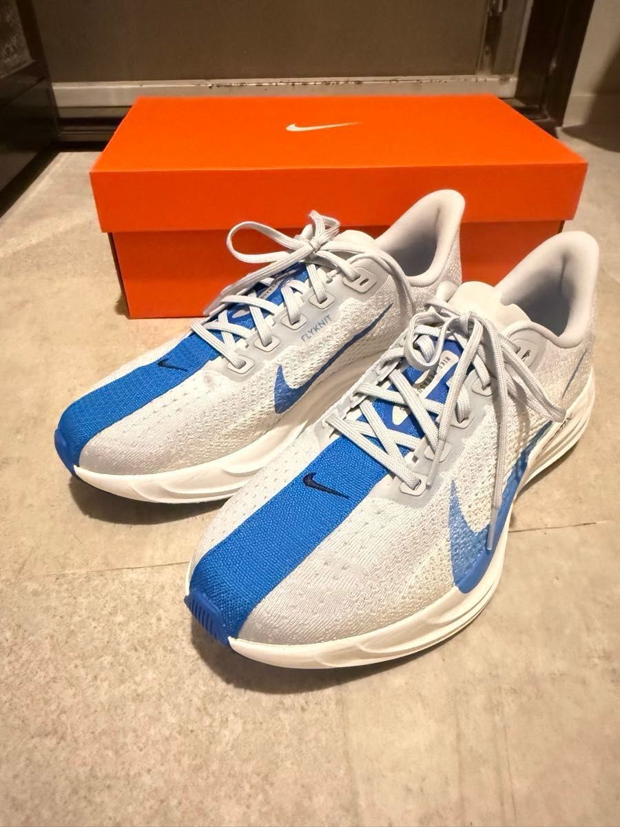 나이키 페가수스 플러스 러닝화 스카이블루