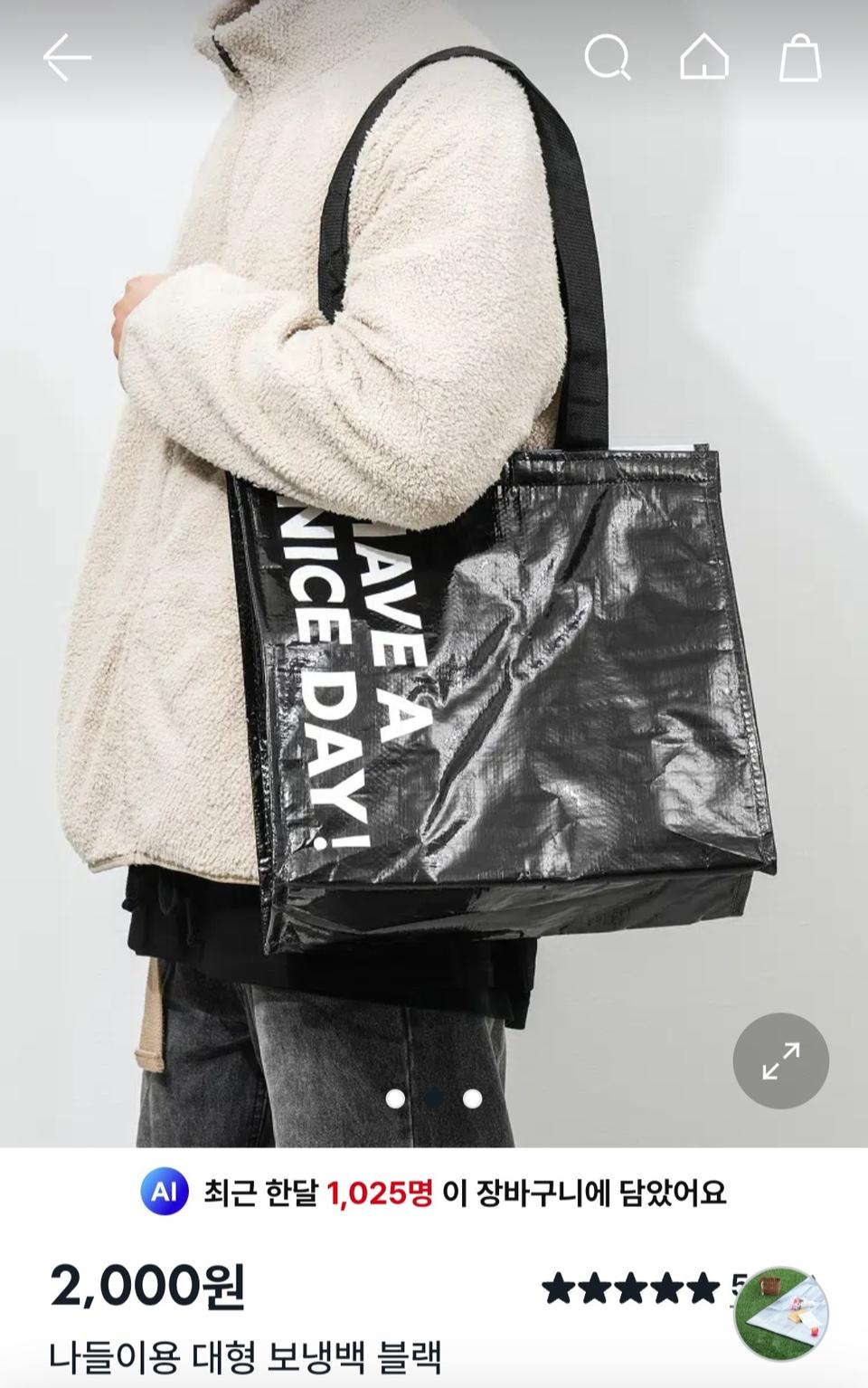 다이소 타포린백 벨크로 가방 핸드백 장바구니 비닐 수납 보냉백 나들이