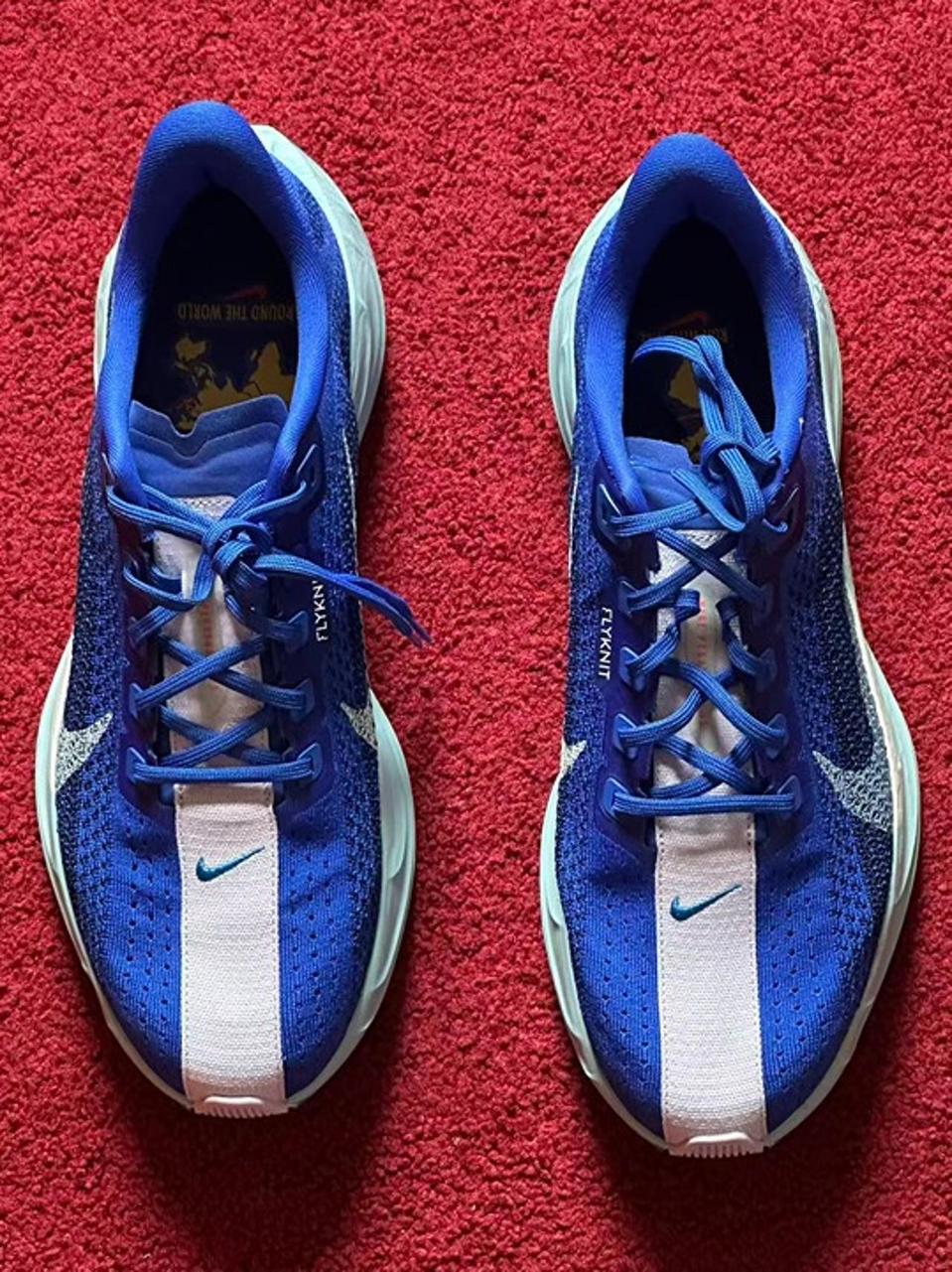 나이키 페가수스 플러스 러닝화 로얄블루