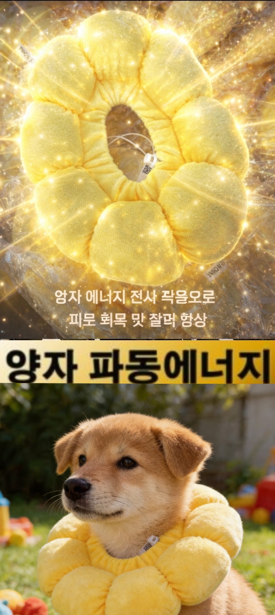 목긁힘 방지 반려동물 해바라기 목걸이 1+1