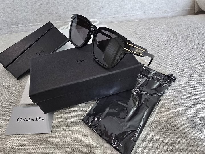 크리스찬 디올 선글라스