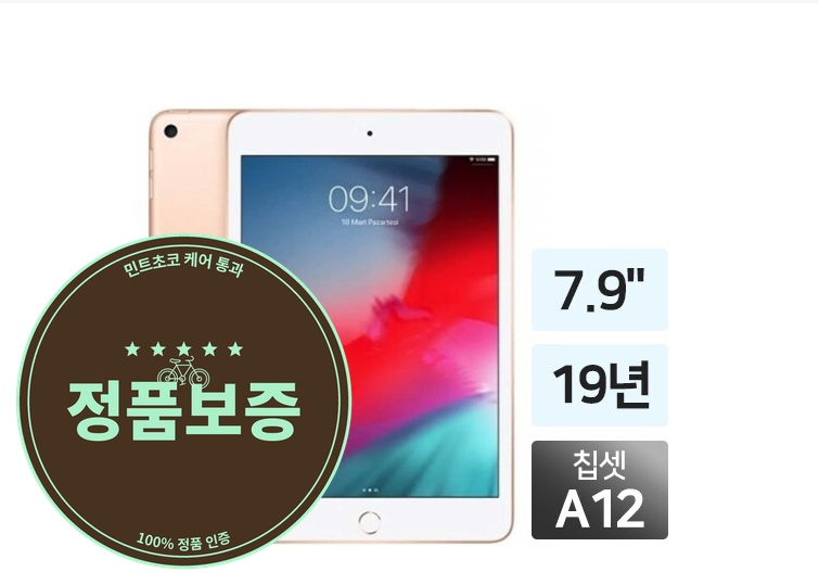 아이패드 미니5 WiFi 64GB