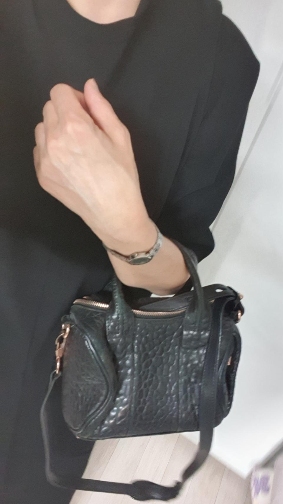 알렉산더왕 미니백