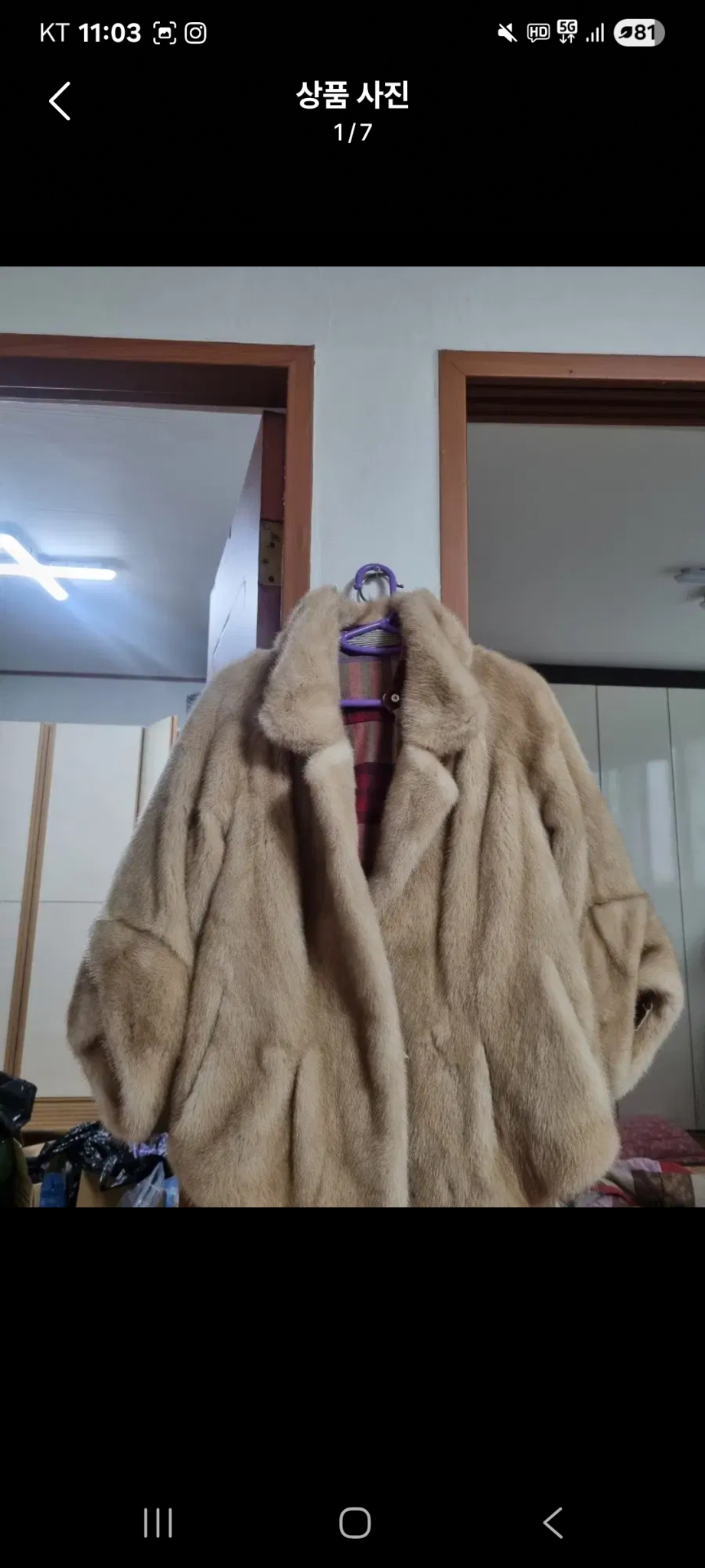 도호밍크